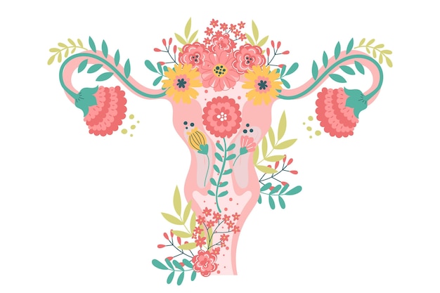 Vector gratuito sistema reproductor femenino con flores.