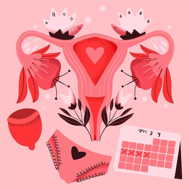Sistema reproductor femenino con flores.