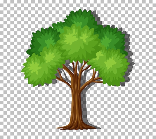 Vector gratuito solo árbol con hojas verdes sobre fondo transparente