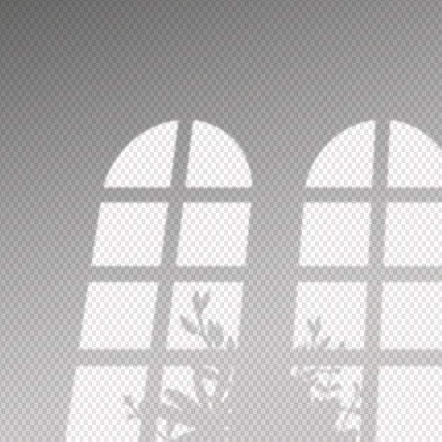 Sombras transparentes superpuestas efecto y arbusto de hojas