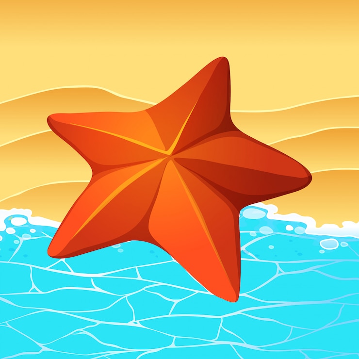 Vector gratuito star fish en la playa