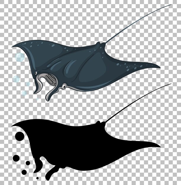 Stingray con su silueta en transparente