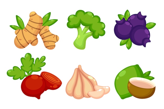 Súper alimentos orgánicos para la salud y la dieta.