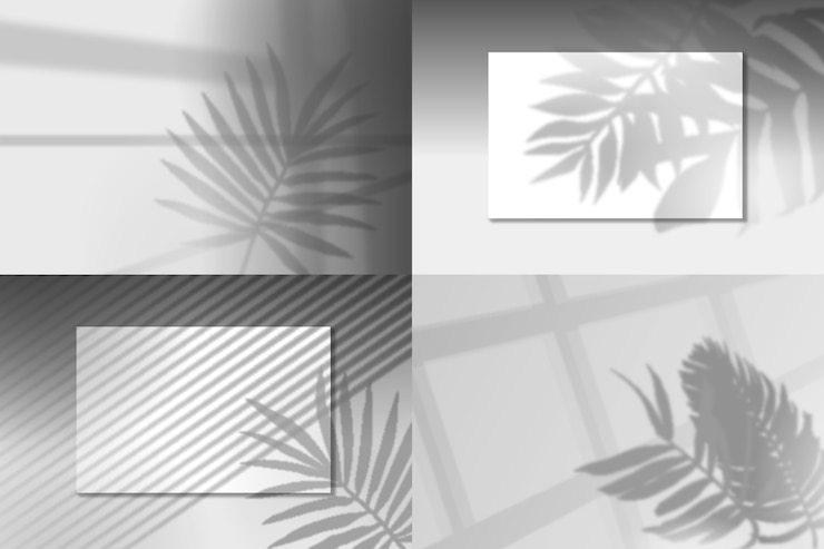 Vector gratuito superposición de efecto transparente con sombras de hojas.