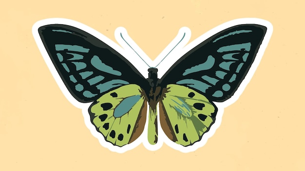 Superposición de pegatina de mariposa vectorizada con un elemento de diseño de borde blanco