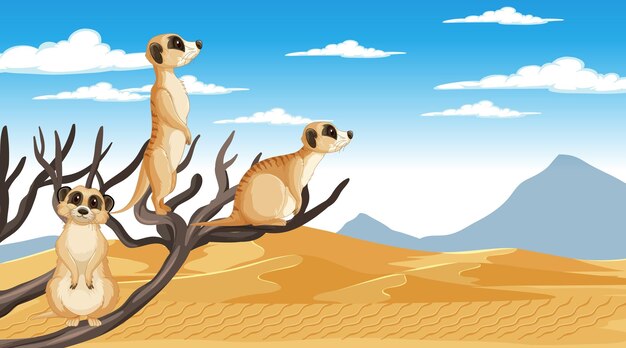 Suricatas en el paisaje del bosque del desierto