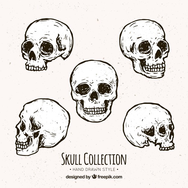 Surtido De Cinco Calaveras Dibujadas A Mano Vector Premium