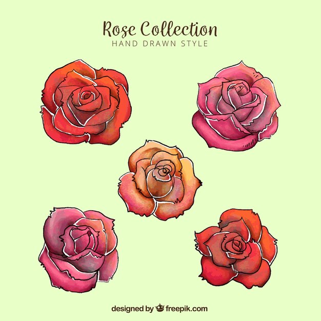Surtido de cinco rosas de colores dibujadas a mano