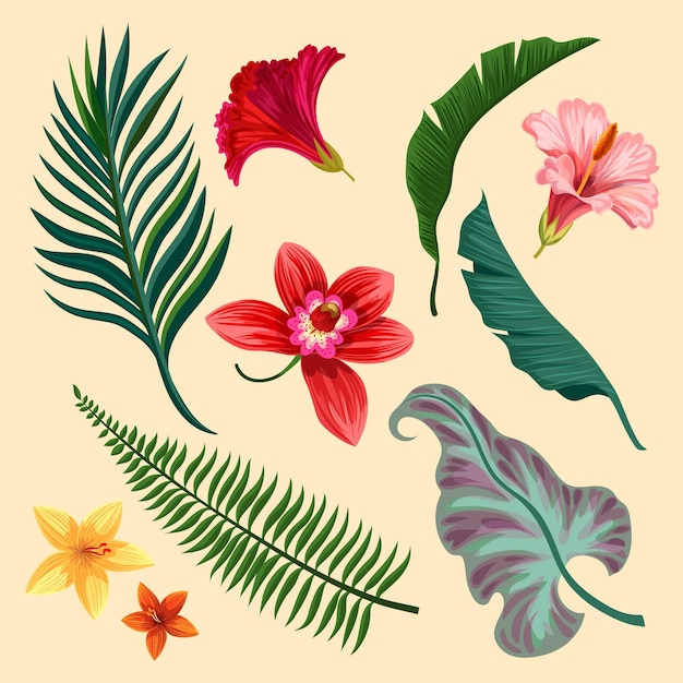 Vector gratuito surtido de flores y hojas tropicales.