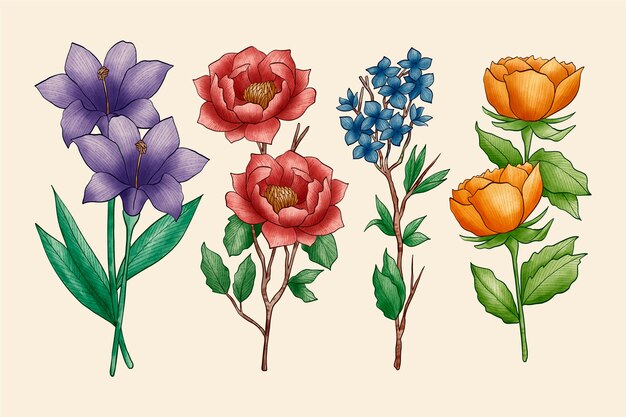 Surtido de flores vintage de botánica