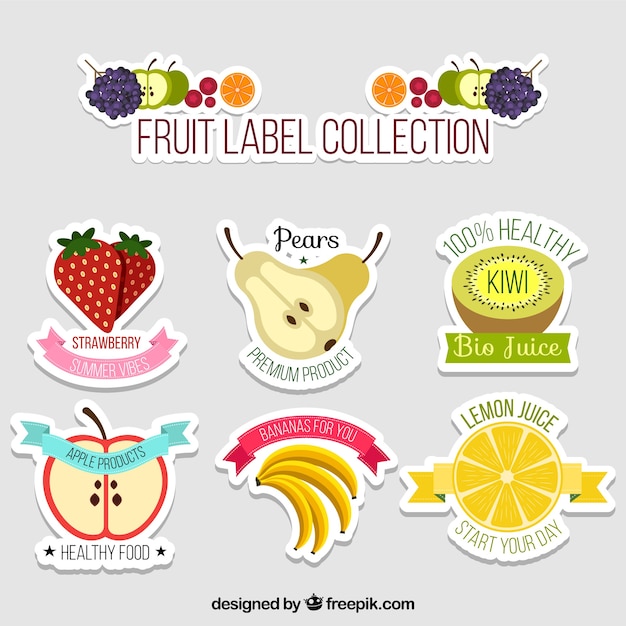 Surtido de pegatinas de frutas planas