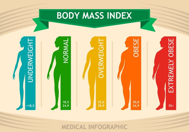Tabla de información bmi del índice de masa corporal de la mujer