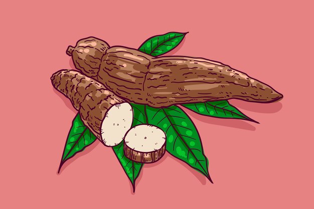 Tapioca dibujada a mano