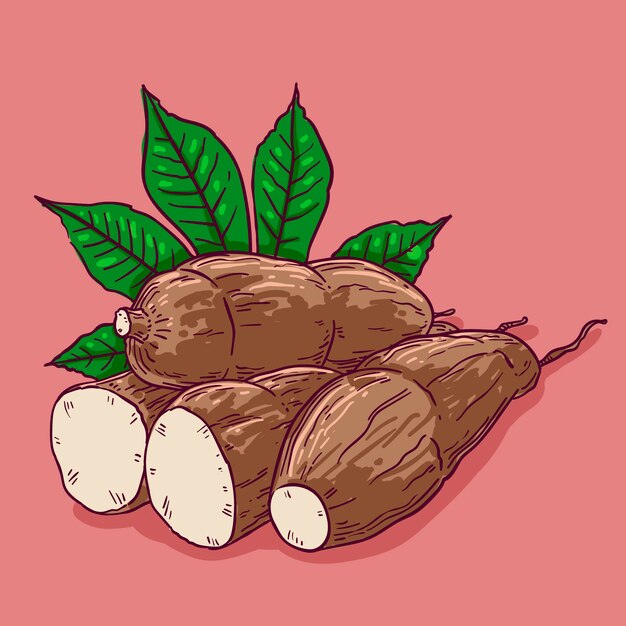 Tapioca dibujada a mano