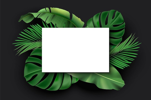 Tarjeta blanca en blanco con hojas verdes exóticas de la selva sobre fondo negro Monstera philodendron fan palm banana leaf areca palm