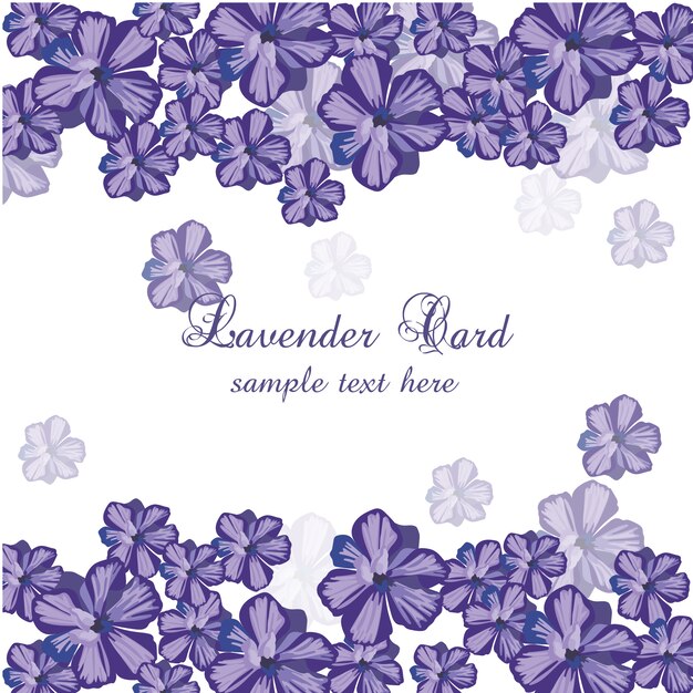 Tarjeta con lavanda dibujada a mano