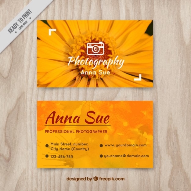 Vector gratuito tarjetas de fotografía de margarita