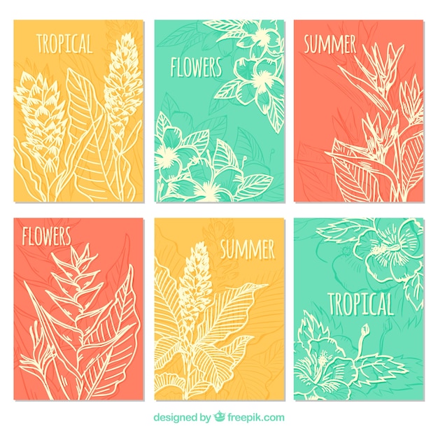 Vector gratuito tarjetas de verano con bocetos de plantas