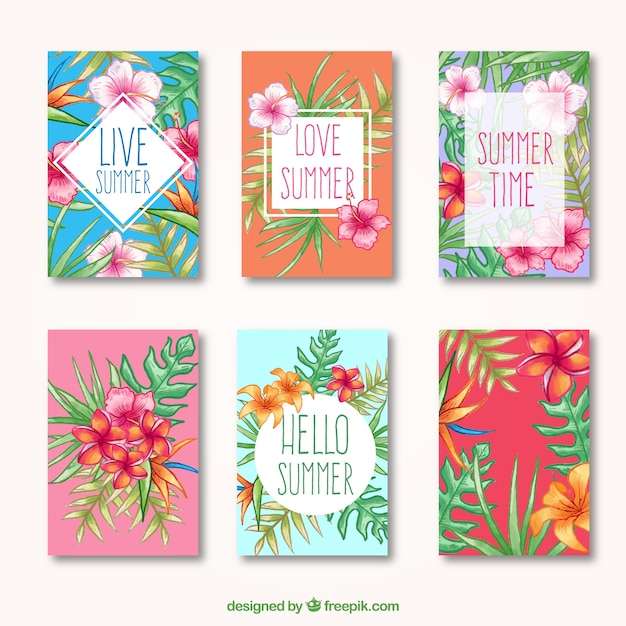 Tarjetas de verano tropicales, dibujadas a mano