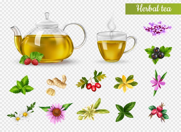 Vector gratuito taza realista y olla de té de hierbas calientes varias hierbas y flores aisladas en la ilustración de vector de fondo transparente
