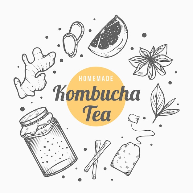 Vector gratuito té de kombucha dibujado a mano con ingredientes