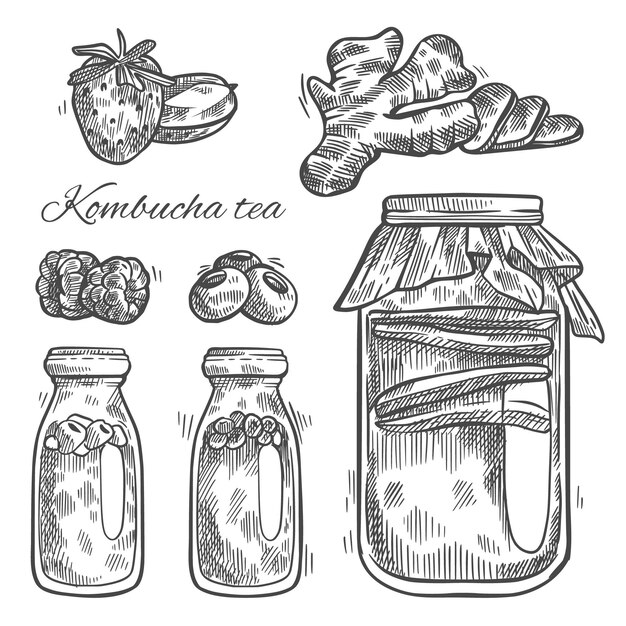 Té de kombucha dibujado a mano