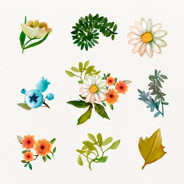 Vector gratuito tema de colección de flores de primavera acuarela