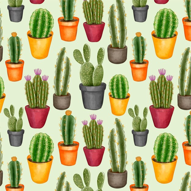 Tema de colección de patrones de cactus