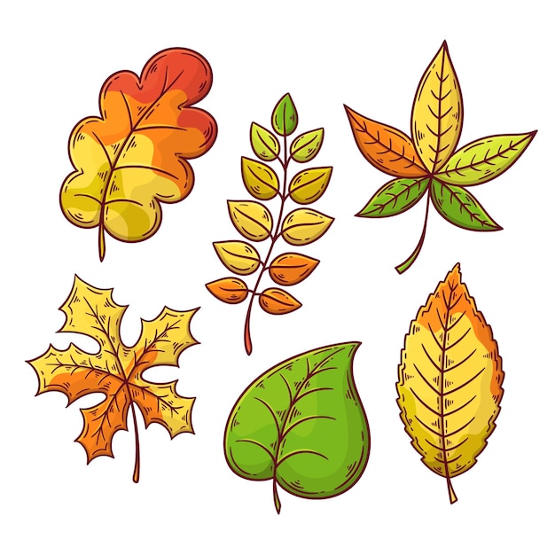 Vector gratuito tema de dibujo de colección de hojas de otoño