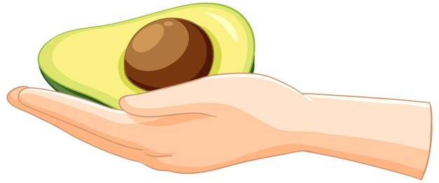 Teniendo en la mano un aguacate fresco