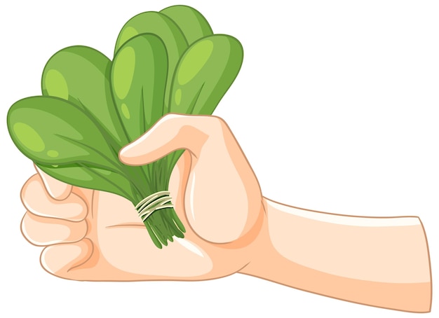 Teniendo en la mano un ramo de espinacas verdes frescas
