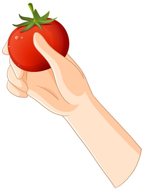 Teniendo en la mano un tomate fresco