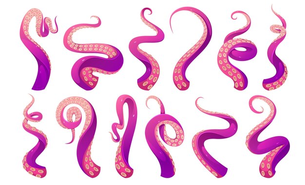 Tentáculos de pulpo, calamar o kraken