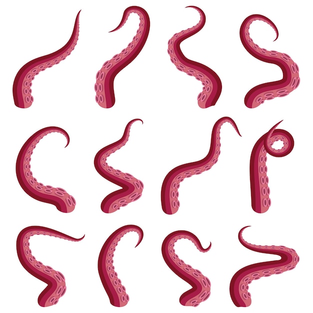 Tentáculos, pulpo, conjunto, submarino, animal, Kraken, o, calamar, tentáculo rojo, cortado, parte, aislado, blanco