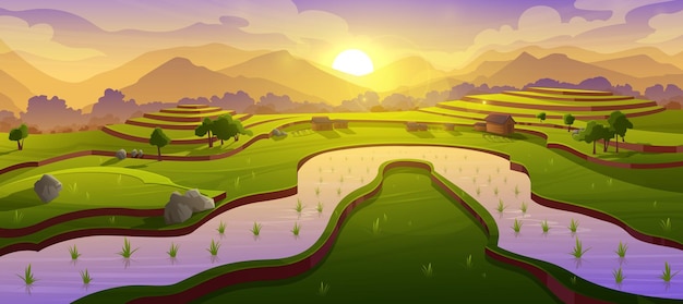Terrazas de campo de arroz asiático en el paisaje de las montañas de la mañana Granja de cascadas de plantaciones de arroz en el monte y el canal de agua con plantas en crecimiento paisaje prado con hierba verde Ilustración vectorial de dibujos animados