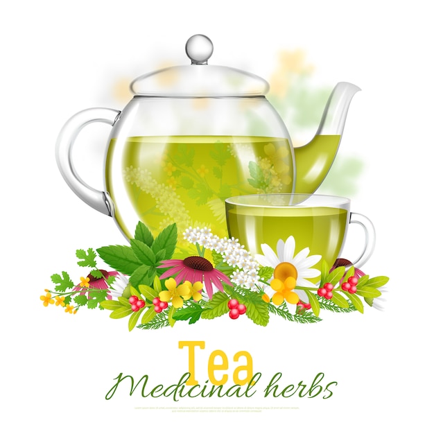 Tetera y taza de té de hierbas medicinales ilustración