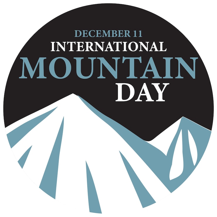 Vector gratuito texto del día internacional de la montaña para el diseño de carteles.