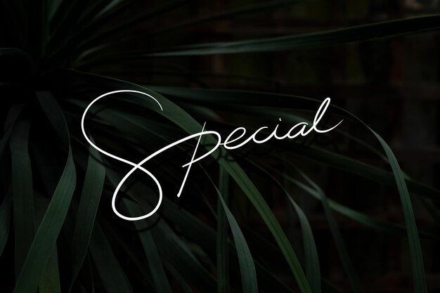Texto especial en una hoja