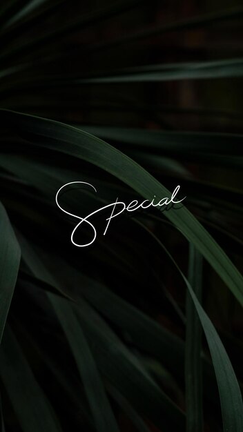 Texto especial en un vector de papel tapiz móvil de fondo frondoso