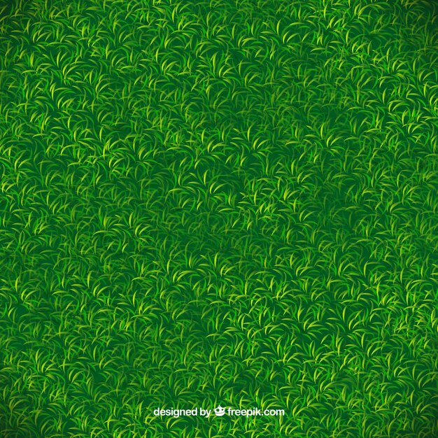 Textura de hierba verde