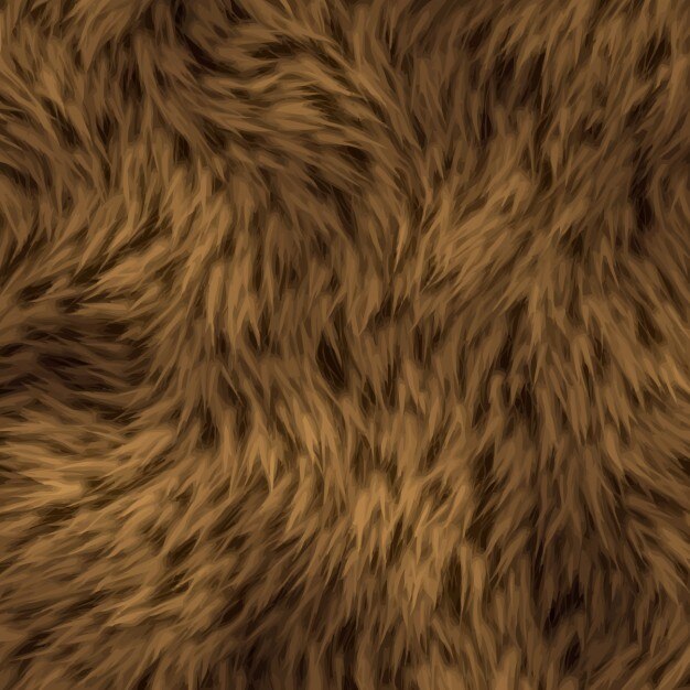 Textura de pelo de oso marrón