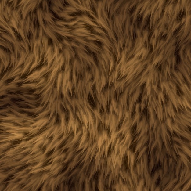 Textura de pelo de oso marrón