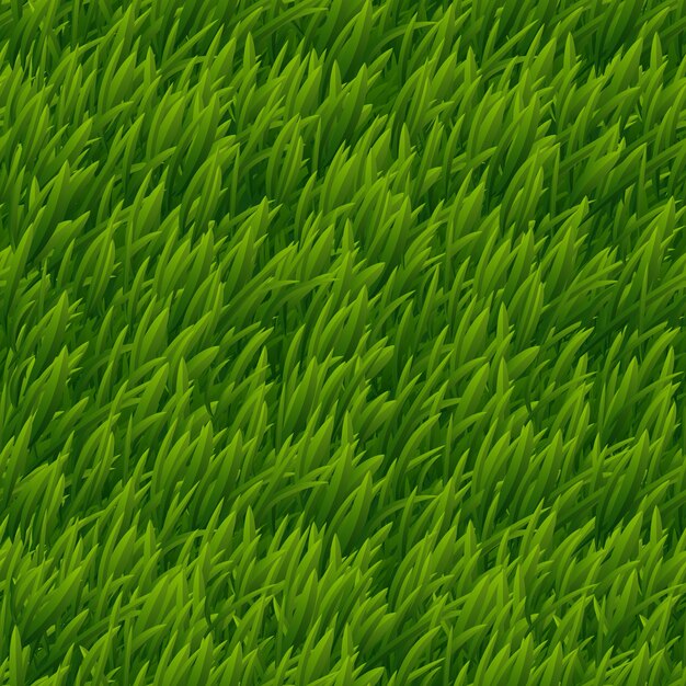 Textura transparente de vector de hierba verde. Naturaleza del césped, planta del prado, ilustración al aire libre natural del campo