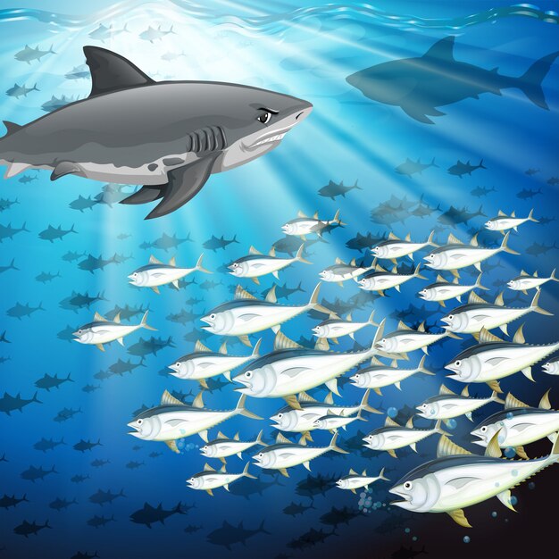 Tiburones y peces bajo el mar.