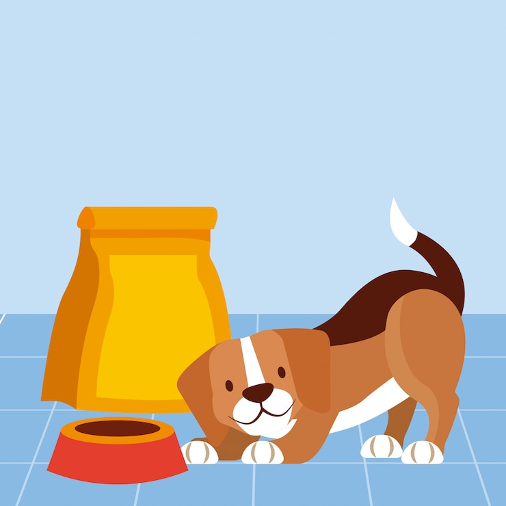 Vector gratuito tienda de mascotas relacionada