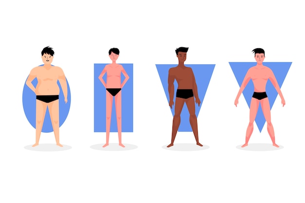 Vector gratuito tipos de dibujos animados de formas del cuerpo masculino