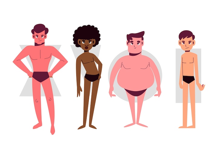 Vector gratuito tipos de dibujos animados de formas del cuerpo masculino