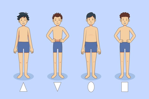 Tipos de dibujos animados de formas del cuerpo masculino