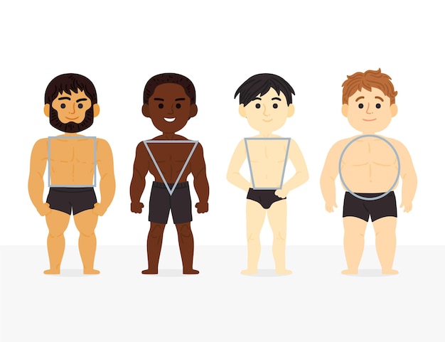 Vector gratuito tipos de dibujos animados de formas del cuerpo masculino