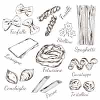 Vector gratuito tipos de pasta sketch set